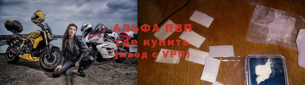 крисы Алексин