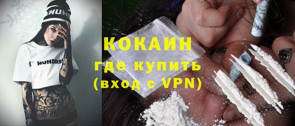 крисы Алексин