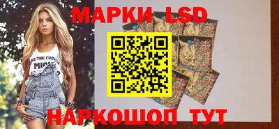 молекула духа Будённовск