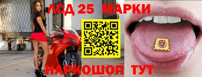 молекула духа Будённовск