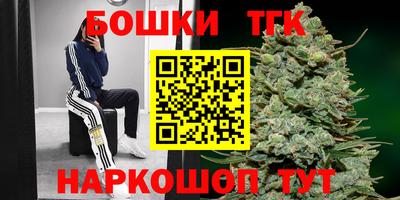 молекула духа Будённовск