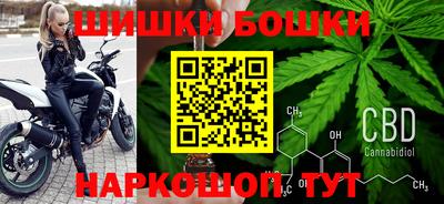 молекула духа Будённовск
