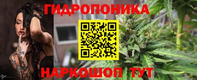 молекула духа Будённовск